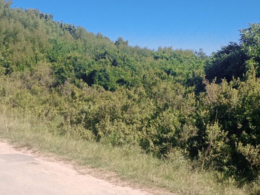 Commercial Property for Sale in Paradise Beach Eastern Cape